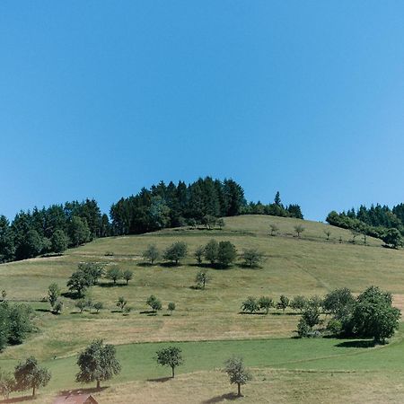 Moderne 2 Zi.-Fewo Blackforest Art Barrierefrei Naehe Freiburg سيمونسوالد المظهر الخارجي الصورة