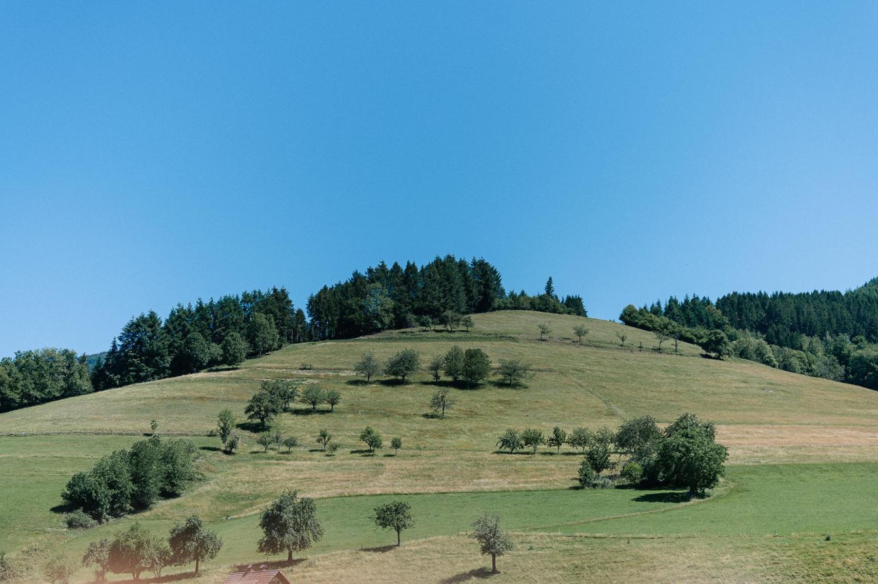 Moderne 2 Zi.-Fewo Blackforest Art Barrierefrei Naehe Freiburg سيمونسوالد المظهر الخارجي الصورة