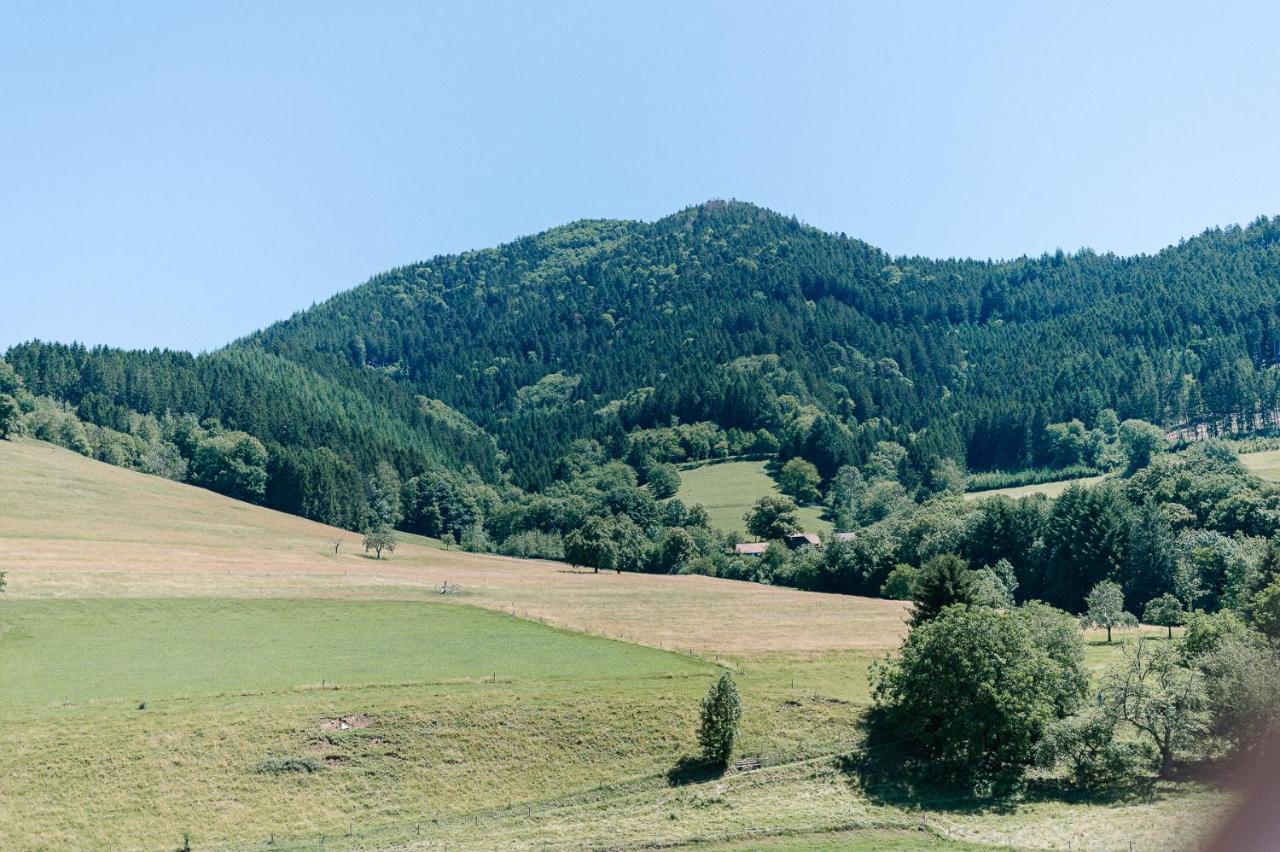 Moderne 2 Zi.-Fewo Blackforest Art Barrierefrei Naehe Freiburg سيمونسوالد المظهر الخارجي الصورة